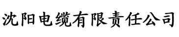 亚洲欧美一区二区三区另类啪啪电缆厂logo